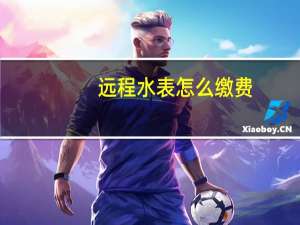 远程水表怎么缴费