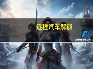 远程汽车解锁