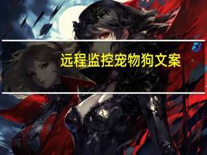 远程监控宠物狗文案