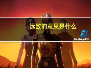 远致的意思是什么