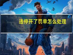 违停开了罚单怎么处理
