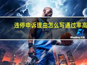 违停申诉理由怎么写通过率高