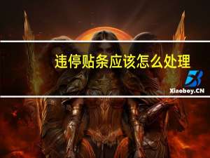 违停贴条应该怎么处理