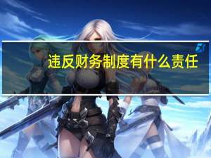 违反财务制度有什么责任