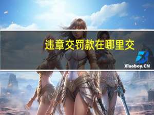 违章交罚款在哪里交