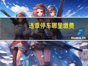 违章停车哪里缴费