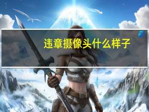 违章摄像头什么样子