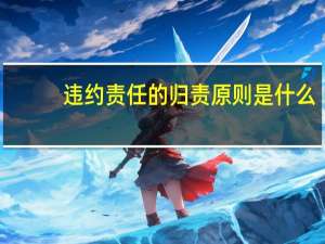 违约责任的归责原则是什么