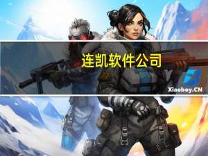 连凯软件公司