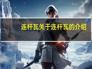 连杆瓦 关于连杆瓦的介绍