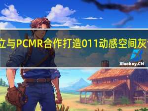 连立与PCMR合作打造011动感空间灰色特别版