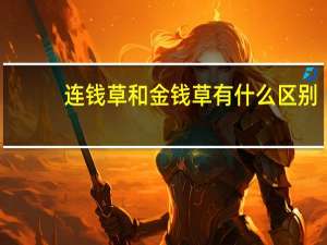 连钱草和金钱草有什么区别