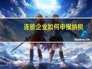 连锁企业如何申报纳税