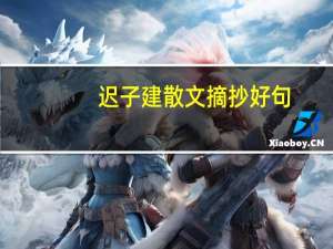 迟子建散文摘抄好句