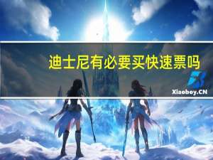 迪士尼有必要买快速票吗