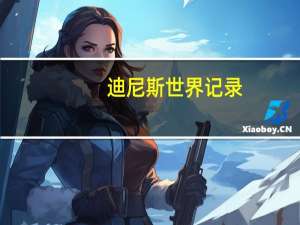 迪尼斯世界记录