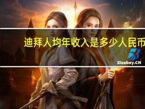 迪拜人均年收入是多少人民币（迪拜人均月收入）