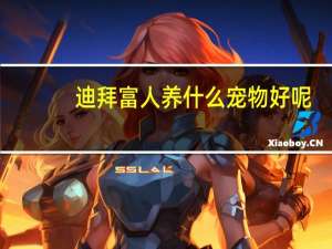 迪拜富人养什么宠物好呢