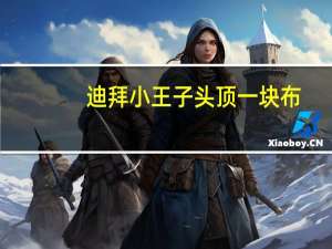 迪拜小王子头顶一块布（迪拜有几个王子）