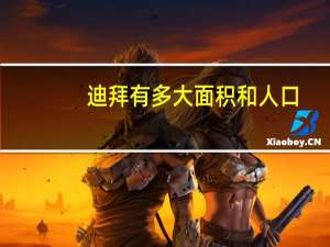 迪拜有多大面积和人口