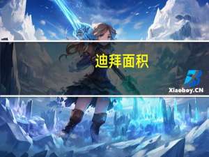 迪拜面积