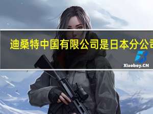 迪桑特中国有限公司是日本分公司吗（迪桑特(中国)有限公司）