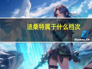 迪桑特属于什么档次