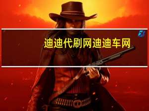 迪迪代刷网 迪迪车网(迪迪网络科技有限公司)