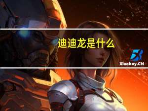 迪迪龙是什么