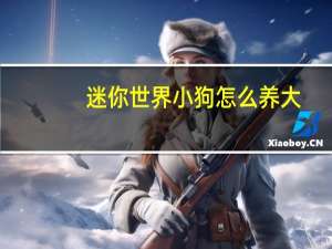 迷你世界小狗怎么养大