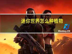 迷你世界怎么种植物