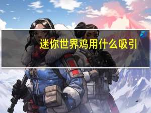 迷你世界鸡用什么吸引