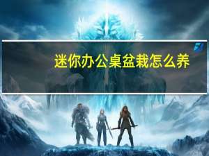 迷你办公桌盆栽怎么养