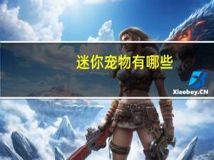 迷你宠物有哪些