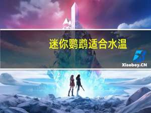 迷你鹦鹉适合水温