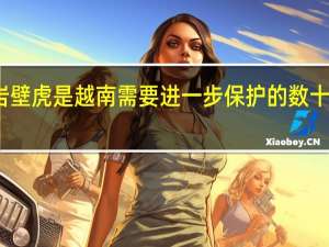 迷幻岩壁虎是越南需要进一步保护的数十种物种之一