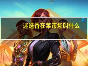 迷迭香在菜市场叫什么