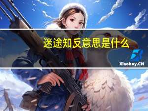 迷途知反意思是什么