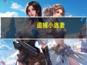 追捕小逃妻（逮捕小逃妻）