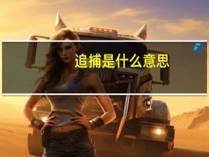 追捕是什么意思