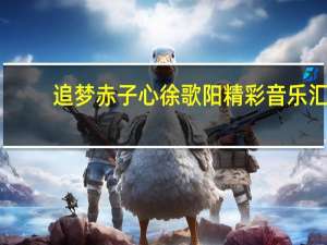 追梦赤子心徐歌阳精彩音乐汇（追梦赤子心徐歌阳）