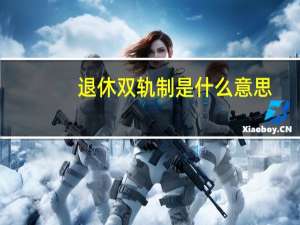 退休双轨制是什么意思