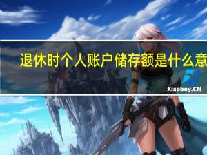 退休时个人账户储存额是什么意思
