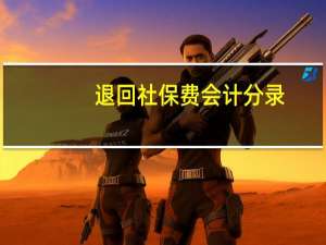 退回社保费会计分录