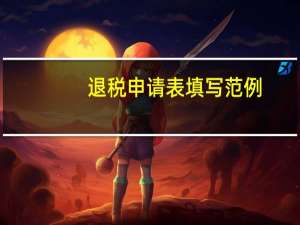 退税申请表填写范例（退税申请表填写模板）