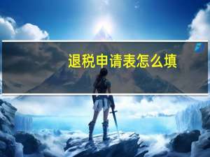 退税申请表怎么填（退税申请表）