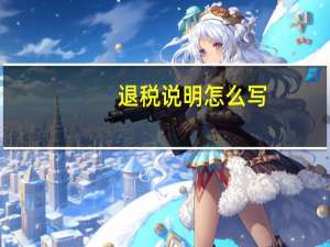 退税说明怎么写
