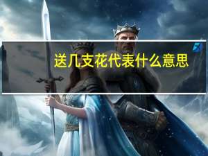 送几支花代表什么意思