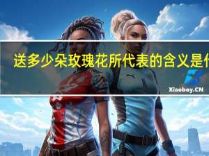送多少朵玫瑰花所代表的含义是什么