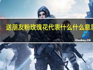 送朋友粉玫瑰花代表什么什么意思啊
